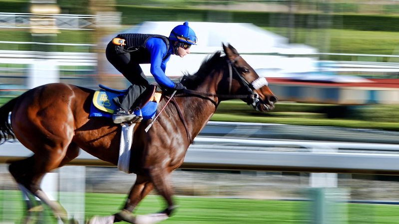 Best Californian Horse Racing Tracks